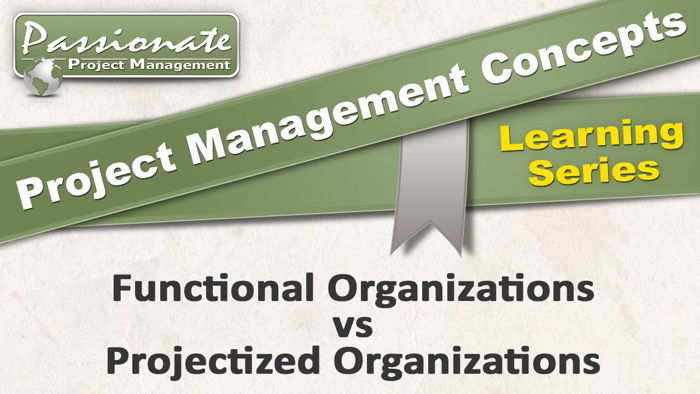 Project Management and Organizational Factors