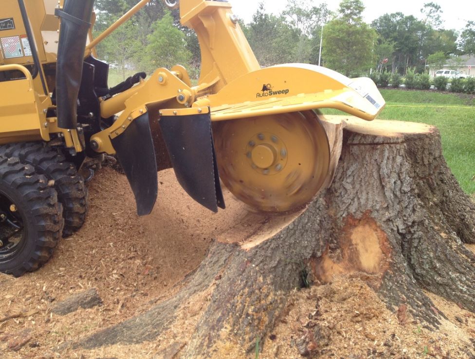 Reasons To Call Processional Companies For Stump Grinding In Sunshine Coast